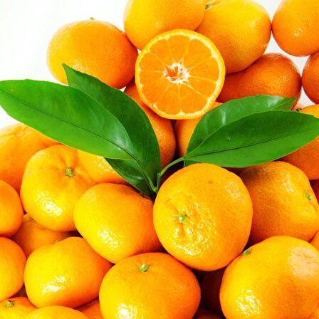 Tüplü Aşılı Bol Verimli Aromalı Sulu Miho Wase Mandalina Fidanı