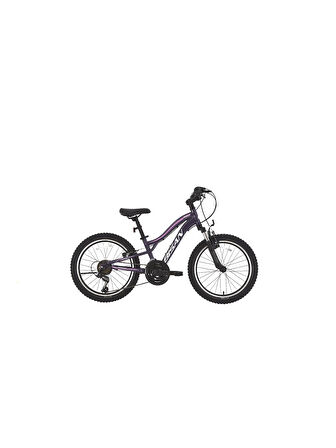 BİSAN GAZELLA ÇOCUK BİSİKLETİ 30 CM V 24 JANT 18 VİTES METALİK MOR AÇIK PEMBE