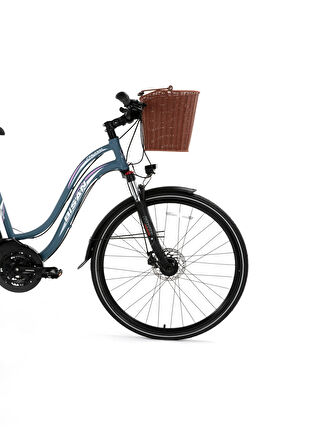 BİSAN CTX 6300 ŞEHİR BİSİKLETİ 46 CM DİSK FREN 28 JANT 21 VİTES GRİ PEMBE