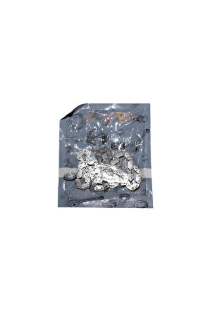 Scooter Eksantrik Zinciri