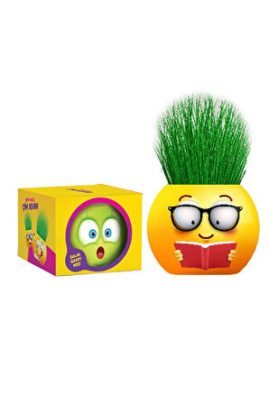 Çim Adam 4 Adet Yeni Nesil Kutulu Emoji Şekiller Parti Hediyelik Okul Öğrenci Karne Hediyeleri