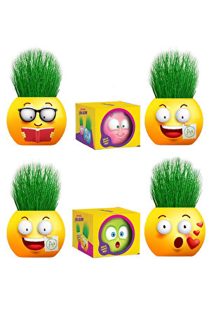 Çim Adam 6 Adet Yeni Nesil Kutulu Emoji Şekiller Parti Hediyelik Okul Öğrenci Karne Hediyeleri