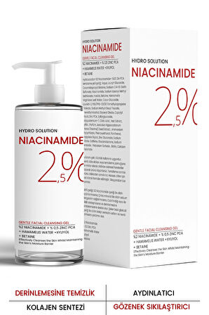 Hydro Solution %2 Niacinamide %0,5 Zinc Pca Temizleme Jeli 200 ml