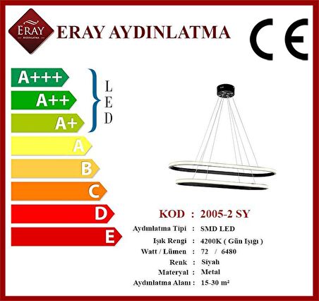 2005-2 Siyah Elips Led Avize