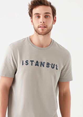 Mavi İstanbul Baskılı Gri Tişört 066282-31935