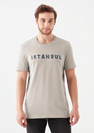 Mavi İstanbul Baskılı Gri Tişört 066282-31935