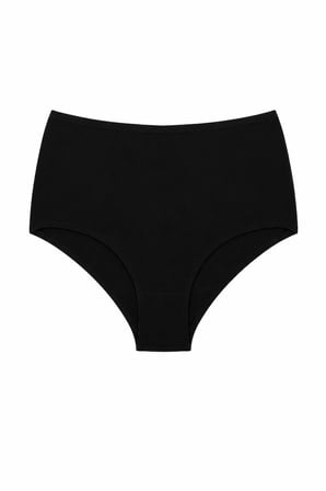 DOMİNANT Kadın Çamaşır Pamuklu Renkli Yüksek Bel BİKİNİ  Külot 5'li Paket