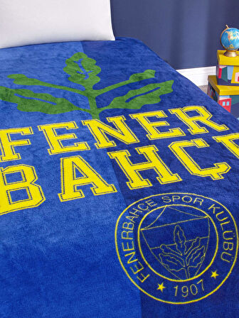 FENERBAHÇE PALAMUT LOGO BATTANİYE 160