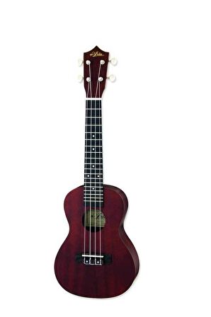 Aria ACU1 Concert Ukulele