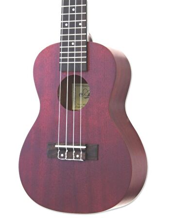 Aria ACU1 Concert Ukulele