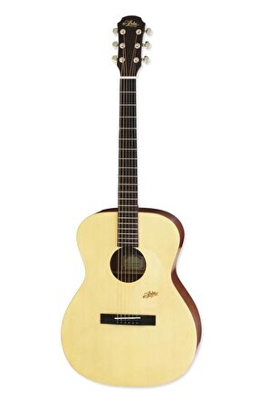 Aria MF200MTN Akustik Gitar