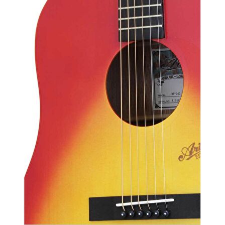 Aria MF240MTCS Akustik Gitar