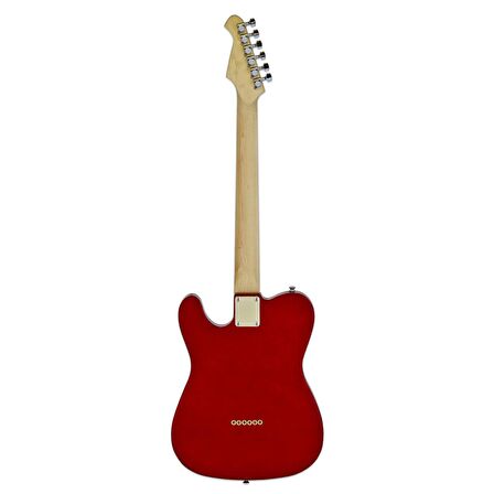 Aria Pro II TEG002CA Elektro Gitar SS RW Tele