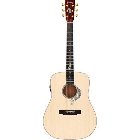 Trumon 150D  Akustik Gitar