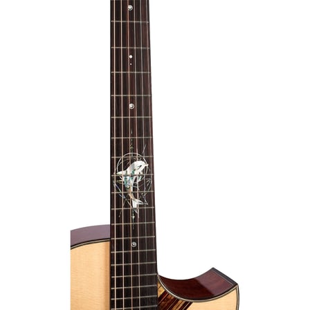 Trumon Dolphin 1955TF-M1Pro Elektro Akustik Gitar