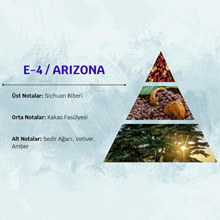 David Walker ARIZONA E4 50ML Odunsu Erkek Parfüm