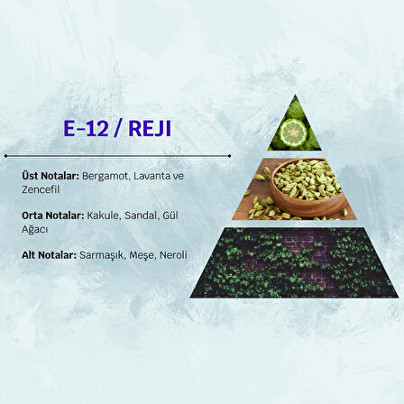 David Walker REJI E12 50ML Odunsu Erkek Parfüm