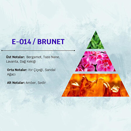 David Walker BRUNET E14 50ML Baharat&Odunsu Erkek Parfüm