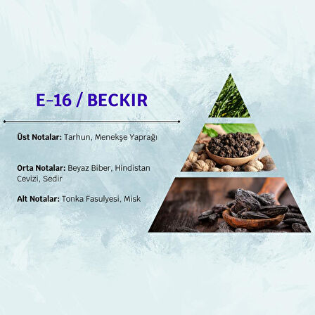 David Walker BECKIR E16 50ML Çiçek Erkek Parfüm