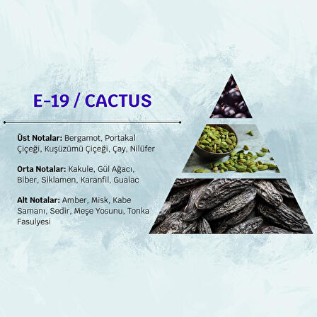 David Walker CACTUS E19 50ML Ferah&Odunsu Erkek Parfüm