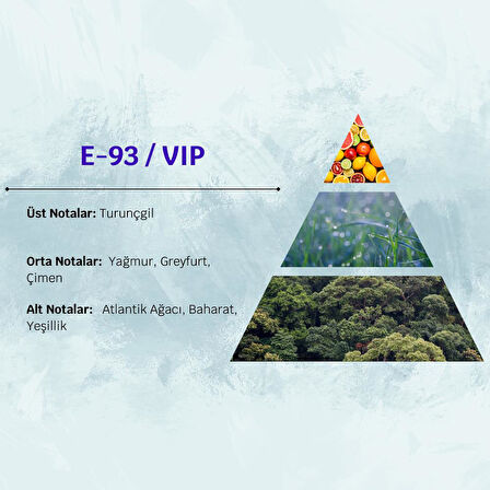 David Walker VIP E93 50ML Aromatik  Erkek Parfüm