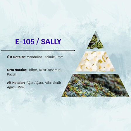 David Walker SALLY E105 50ML Odunsu  Erkek Parfüm