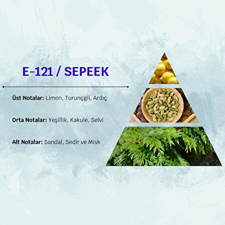 David Walker SEPEEK E121 50ML Turunçgil&Meyve  Erkek Parfüm