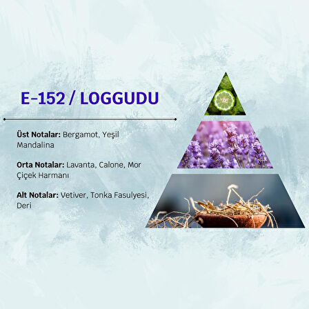 David Walker LOGGUDU E152 50ML Ferah&Odunsu  Erkek Parfüm