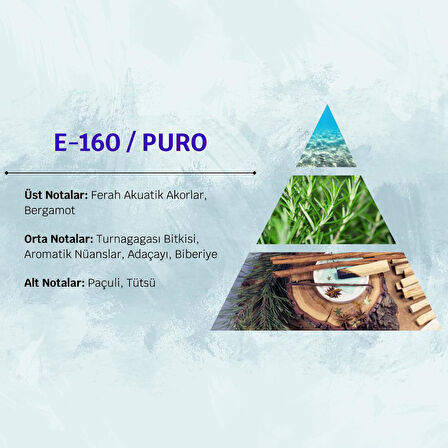 David Walker PURO E160 50ML Aromatik&Odunsu  Erkek Parfüm