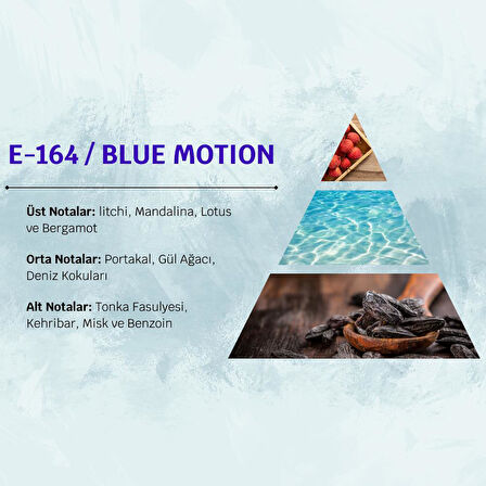 David Walker BLUE MOTION E164 50ML Meyve&Çiçek  Erkek Parfüm