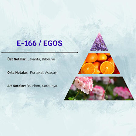 David Walker EGOS E166 50ML Aromatik  Erkek Parfüm