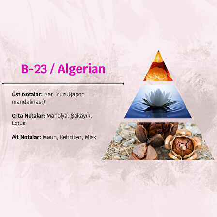David Walker ALGERIAN B23 50ML Çiçek&Odun Kadın Parfüm
