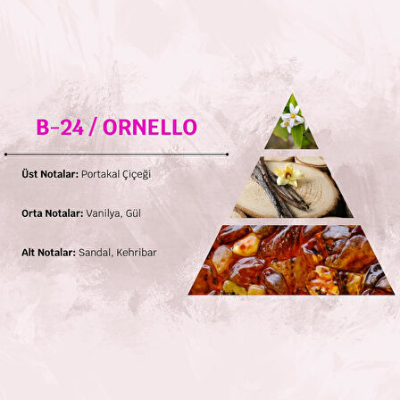 David Walker ORNELLO B24 50ML Odunsu&Çiçek Kadın Parfüm