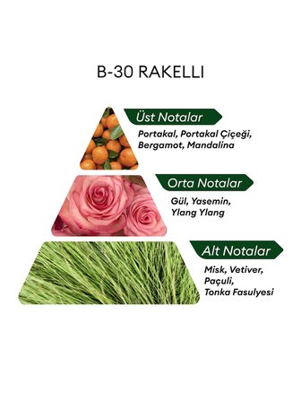 David Walker B30 Rakell 50 ml Kadın Parfüm | Woody