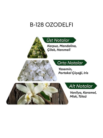 David Walker B128 Ozodelfi 50 ml Kadın Parfüm | Aromatic