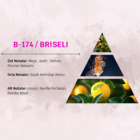 David Walker BRISELI B174 50ML Oryantal Kadın Parfüm
