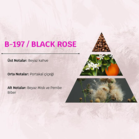 David Walker BLACK ROSE B197 50ML Oryantal Kadın Parfüm