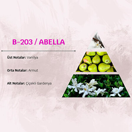 David Walker ABELLA B203 50ML Çiçek&Oryantal Kadın Parfüm