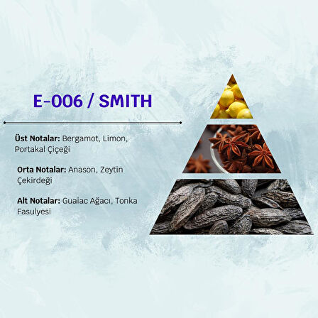 David Walker SMITH E6 100ML Ferah&Odunsu Erkek Parfüm