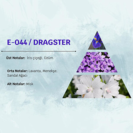 David Walker DRAGSTER E44 100ML Ferah&Meyve Erkek Parfüm