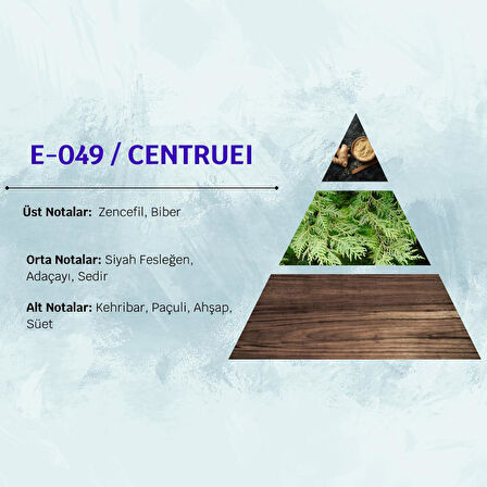 David Walker CENTRUE E49 100ML Ferat&Baharat  Erkek Parfüm