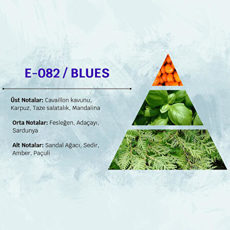 David Walker BLUES E82 100ML Ferah&Aromatik Erkek Parfüm