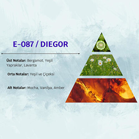 David Walker DIEGOR E87 100ML Şeker  Erkek Parfüm