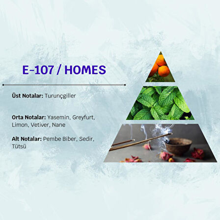 David Walker HOMES E107 100ML Odunsu  Erkek Parfüm