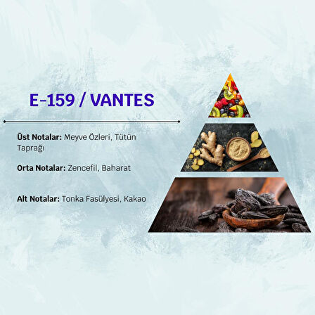 David Walker VANTES E159 100ML Baharat  Erkek Parfüm