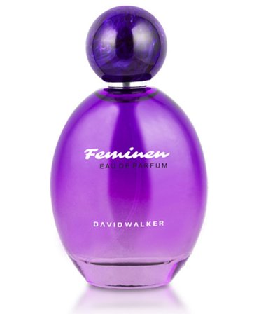 David Walker B73 Elagnus 100 ml Kadın Parfüm | Aromatic
