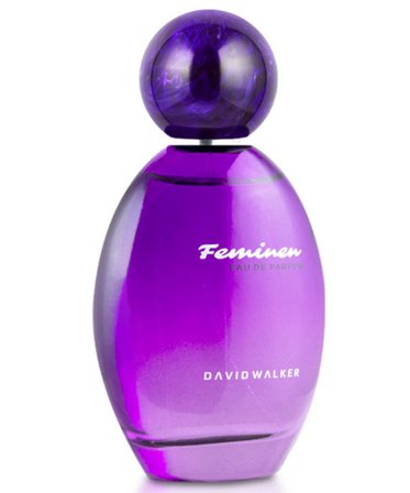 David Walker B73 Elagnus 100 ml Kadın Parfüm | Aromatic