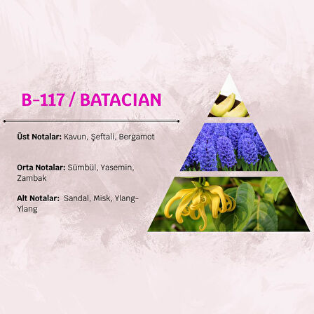 David Walker BATACIAN B117 100ML Ferah&Meyve Kadın Parfüm