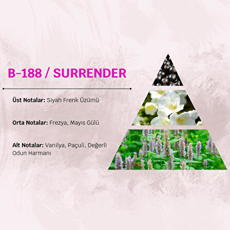 David Walker SURRENDER B188 100ML Şeker Kadın Parfüm