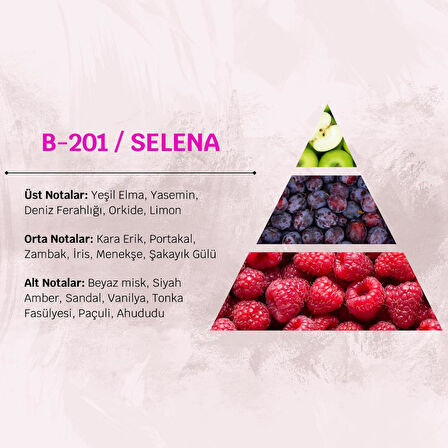 David Walker SELENA B201 100ML Ferah&Çiçek Kadın Parfüm